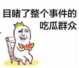 娱乐吃瓜蜀黍广告语是什么